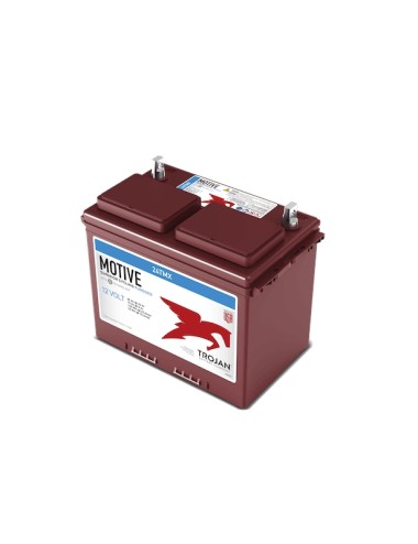 Batteria Avviamento/Servizi  TROJAN MOTIVE  24TMX 12V 85AH