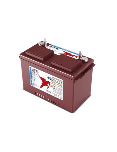 Batteria Avviamento/Servizi  TROJAN MOTIVE  27TMH 12V 115AH