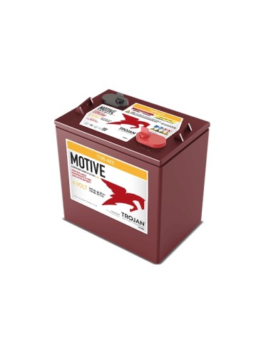 Batteria Trazione Elettrica  TROJAN MOTIVE T105-AES  6V 225AH - GC2