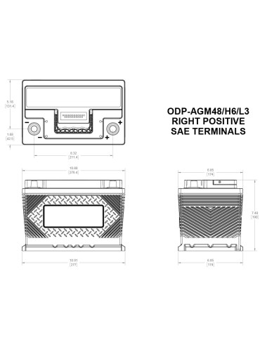 Batteria Applicazioni Professionali  ODYSSEY PERFORMANCE ODP-AGM47 H5 L2  12V 62AH 650A +Dx