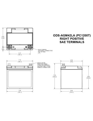 Batteria Applicazioni Professionali  ODYSSEY EXTREME ODS-AGM42LA  12V 42AH 540A - +Dx - 140R - L1