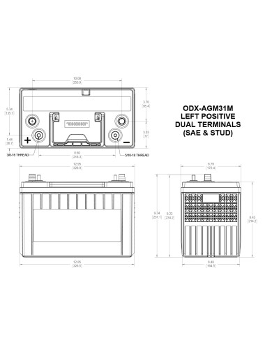 Batteria Applicazioni Professionali  ODYSSEY EXTREME (MARINE) ODX-AGM31M  12V 100AH 1150A +Sx - 31L